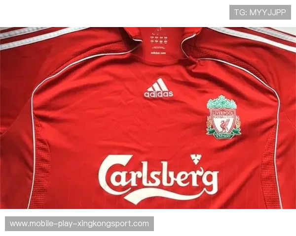 英超俱乐部品牌慈善项目的商业价值分析