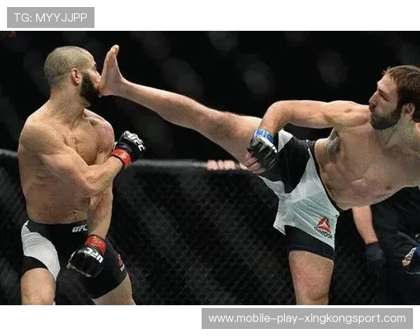 UFC回旋踢击中锁定胜利