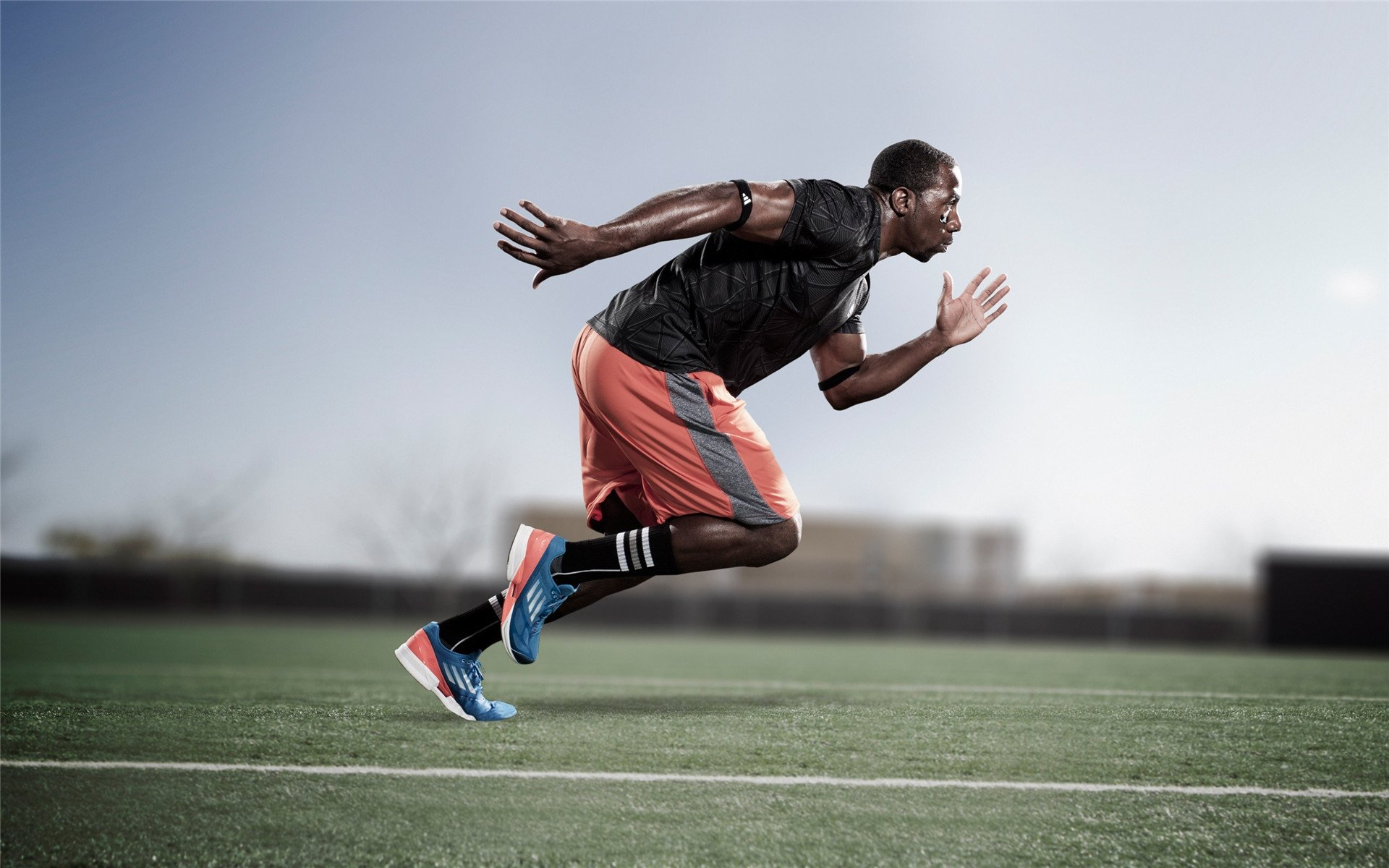 NBA主场球迷助威气氛火爆